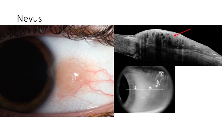 File:Slide8.jpg