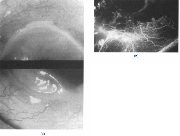 File:MU Figure4.png