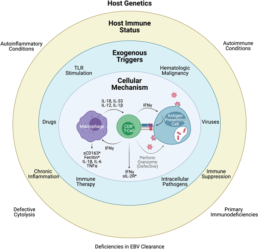 File:Pathophysiology of HLH.png