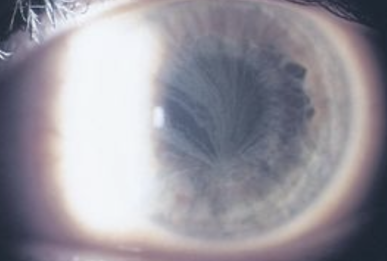 File:Screenshot 2024-10-09 at 7.24.34 PM.png