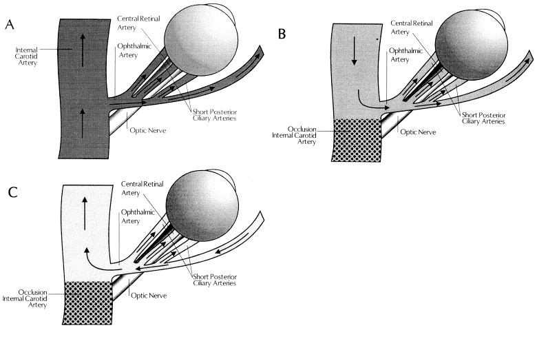 File:Diagram.jpg