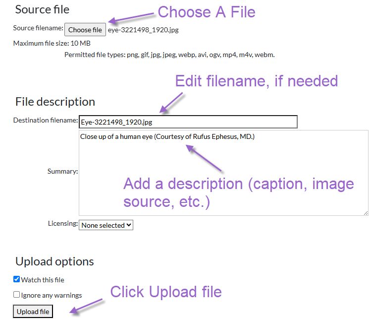 Upload file 2025.jpg