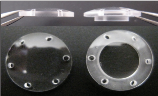 File:Trunkless Keratoprosthesis and TKP with trunk.png