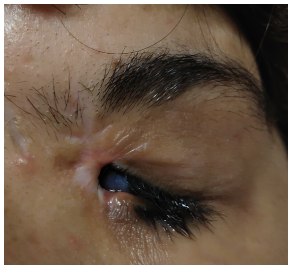 File:Screenshot 2021-05-26 at 9.37.48 PM.png