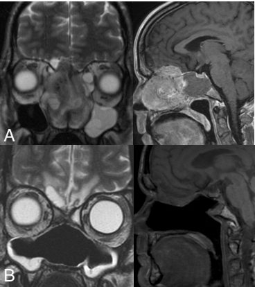 File:Figure 3 (2).png