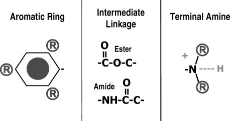 File:Local anesthetic structure.png