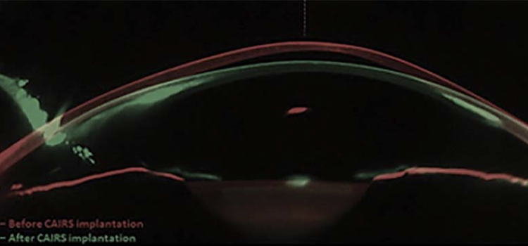 2025 Residents and Fellows Contest Winner