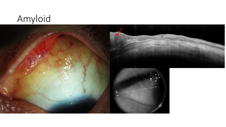 File:Slide6.jpg