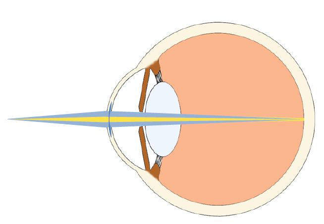 File:Near vision.jpg
