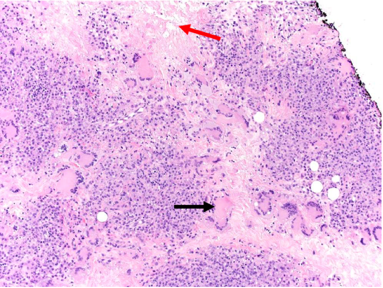 File:NXG Figure 1A.png