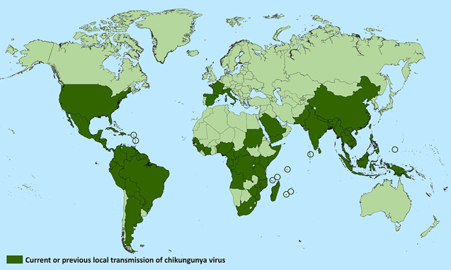 File:Chikungunya CDC.png