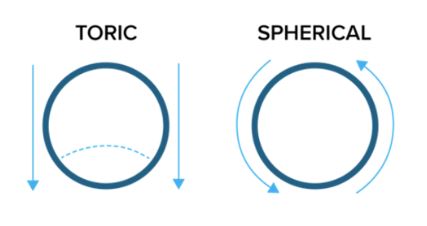 File:Toric versus Sphere.jpg