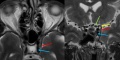 Thumbnail for version as of 14:04, March 27, 2020