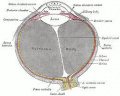 Thumbnail for version as of 19:02, April 3, 2021