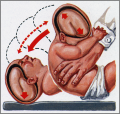 Thumbnail for version as of 10:52, September 29, 2013