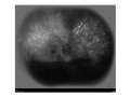 Thumbnail for version as of 11:56, June 17, 2012