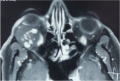 Thumbnail for version as of 04:08, June 1, 2021