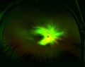 Thumbnail for version as of 05:20, May 19, 2021