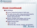 Thumbnail for version as of 11:01, April 12, 2012