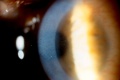 Thumbnail for version as of 17:02, January 29, 2019