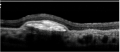 Thumbnail for version as of 21:27, May 23, 2023