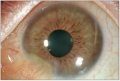 Thumbnail for version as of 08:17, November 30, 2012