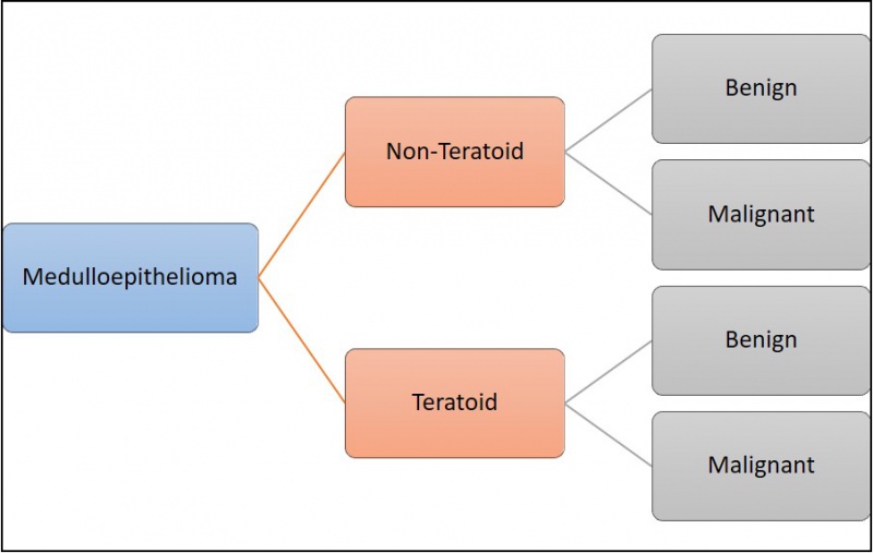 File:Medulloepithelioma Flow Chart.jpg