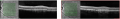 Thumbnail for version as of 13:25, November 28, 2021