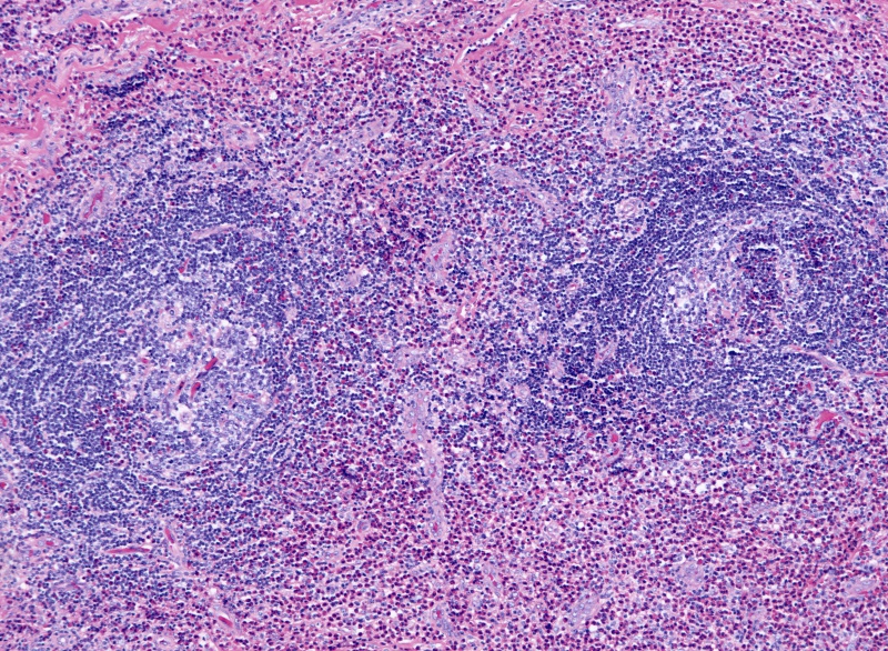 File:10x 3.jpg