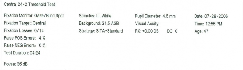 File:VFDisplay.jpg
