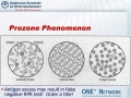 Thumbnail for version as of 11:03, April 10, 2012