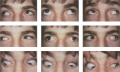 Thumbnail for version as of 06:46, June 1, 2020