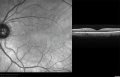 Thumbnail for version as of 13:31, July 5, 2010