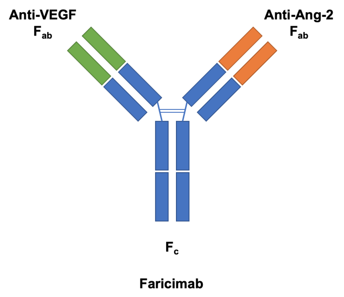 File:Faricimab.png