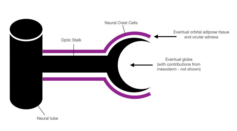 File:OASC3.jpg