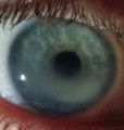 Thumbnail for version as of 14:55, May 24, 2021