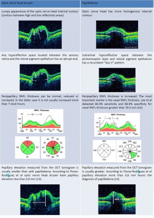 Optic nerve head drusen vs papilledema.jpeg