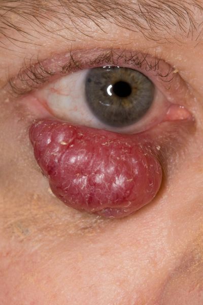 File:(merkel) gens 7204418 (2).jpg