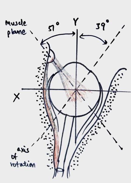 File:Figure x3.jpg