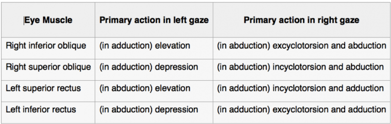 File:EOM function.png