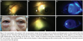 Thumbnail for version as of 17:31, September 4, 2021