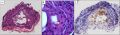 Thumbnail for version as of 11:35, June 4, 2021