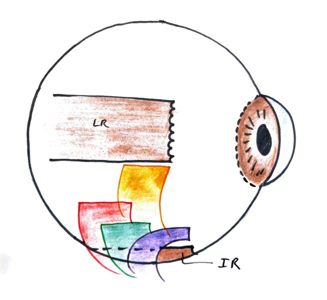 File:Figurex7.jpg