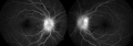 Thumbnail for version as of 02:53, April 11, 2020