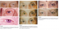 Thumbnail for version as of 11:25, December 1, 2013