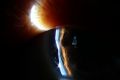 Thumbnail for version as of 13:12, June 28, 2026