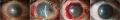 Thumbnail for version as of 19:39, July 6, 2026