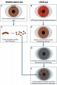 Thumbnail for version as of 19:30, July 6, 2026