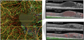 Thumbnail for version as of 13:37, June 29, 2021