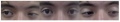 Thumbnail for version as of 17:19, November 4, 2013